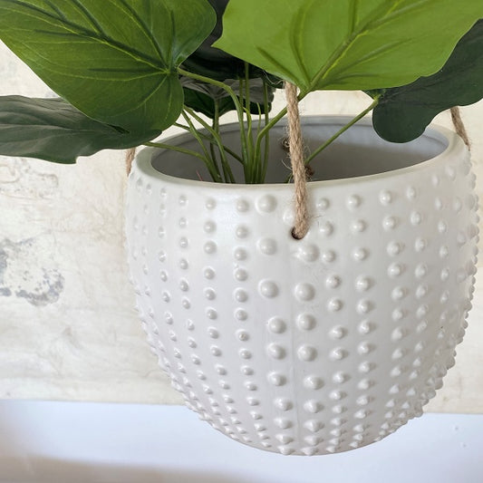 Ceramic Hanging Pot