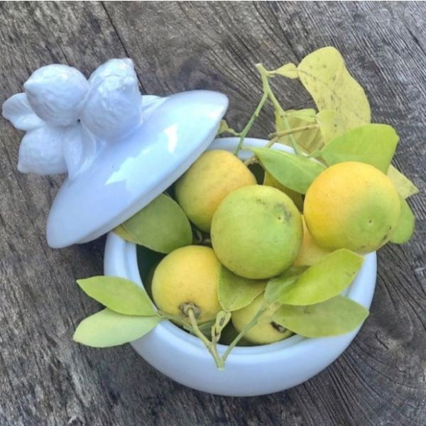 Ceramic Lemon Jar