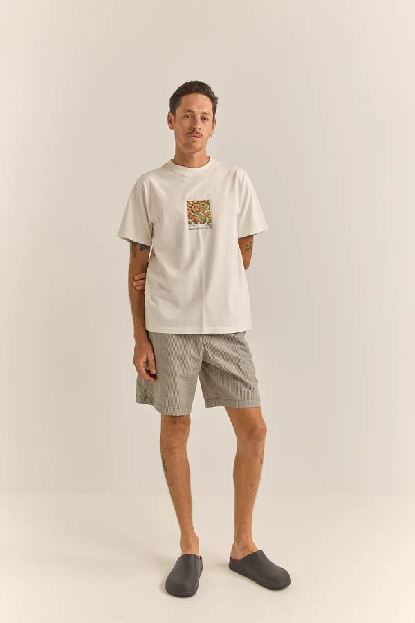 Seersucker Stripe Short Olive