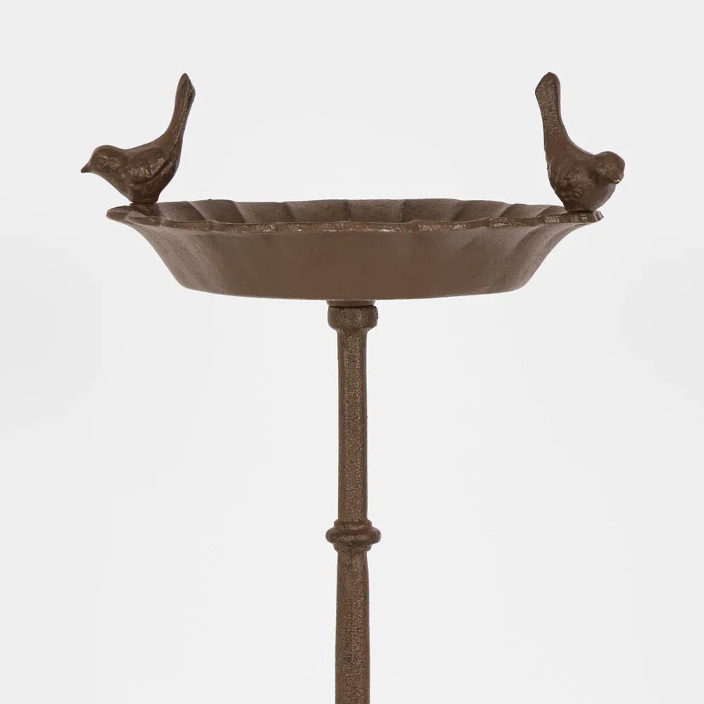 Iron Bird Bath